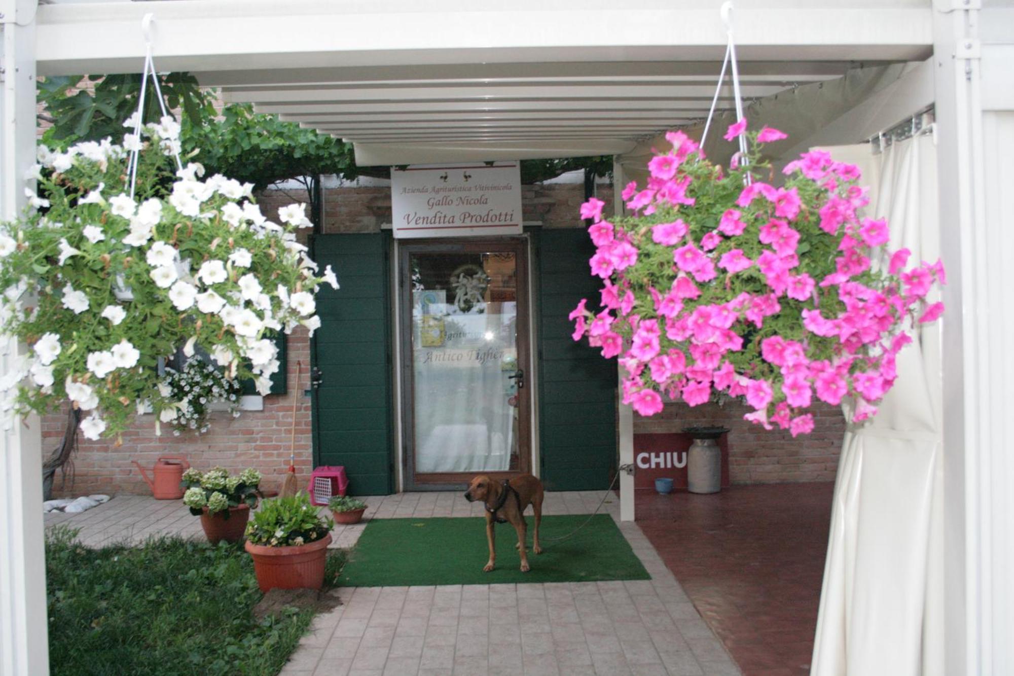 Locanda Antico Figher Villa Musile di Piave Ngoại thất bức ảnh